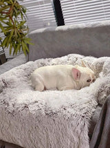 Calming Pet Couch Cover