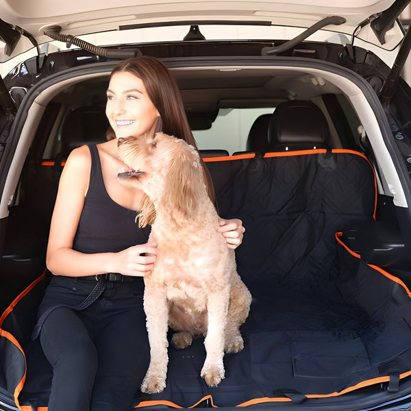 Dog Car Seat Cover