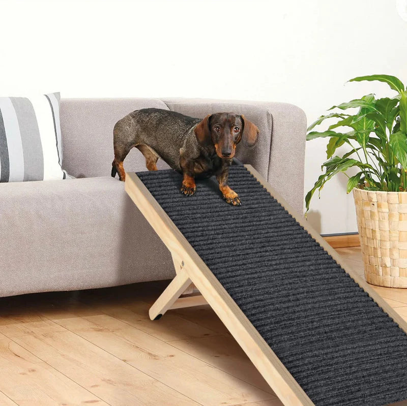 Dog Ramp